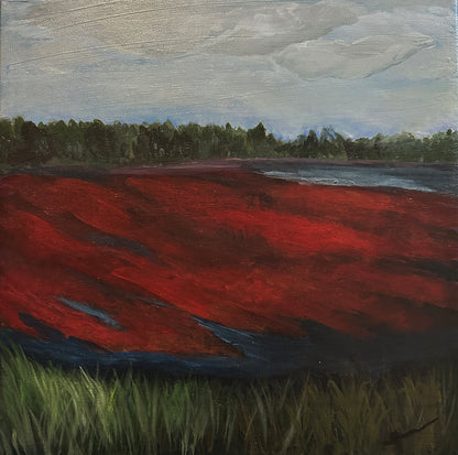 Original Art | "Cape Cod Bog"