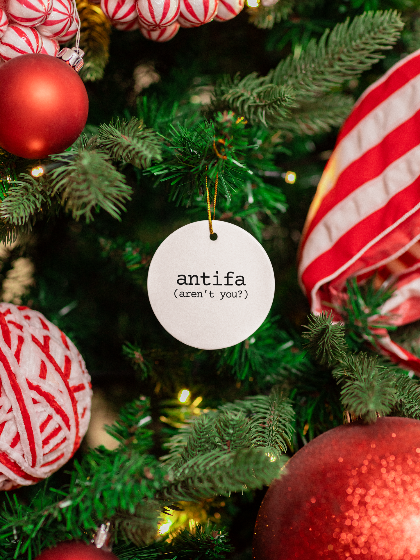 Insurgent Outfitters | Words of Resistance Ornaments